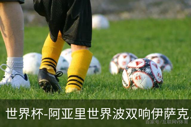 世界杯-阿亚里世界波双响伊萨克1射2传 瑞典5-1突尼斯