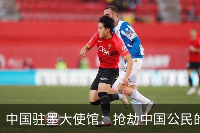 中国驻墨大使馆：抢劫中国公民的两名嫌疑人中 一人已经落网