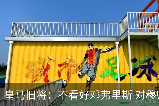 皇马旧将：不看好邓弗里斯 对穆帅也有疑虑，能请来克洛普就好了
